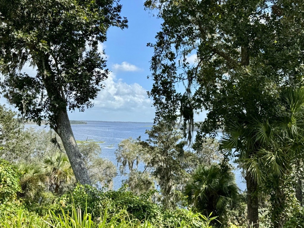 15991 NE 243rd Place Road #56 Fort Mc Coy FL 32134 - LAKE OCKLAWAHA OM713451 image10