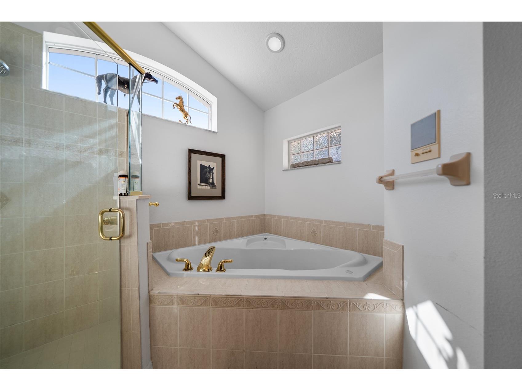 15995 NW 10th Circle Citra FL 32113 G5107400 image32
