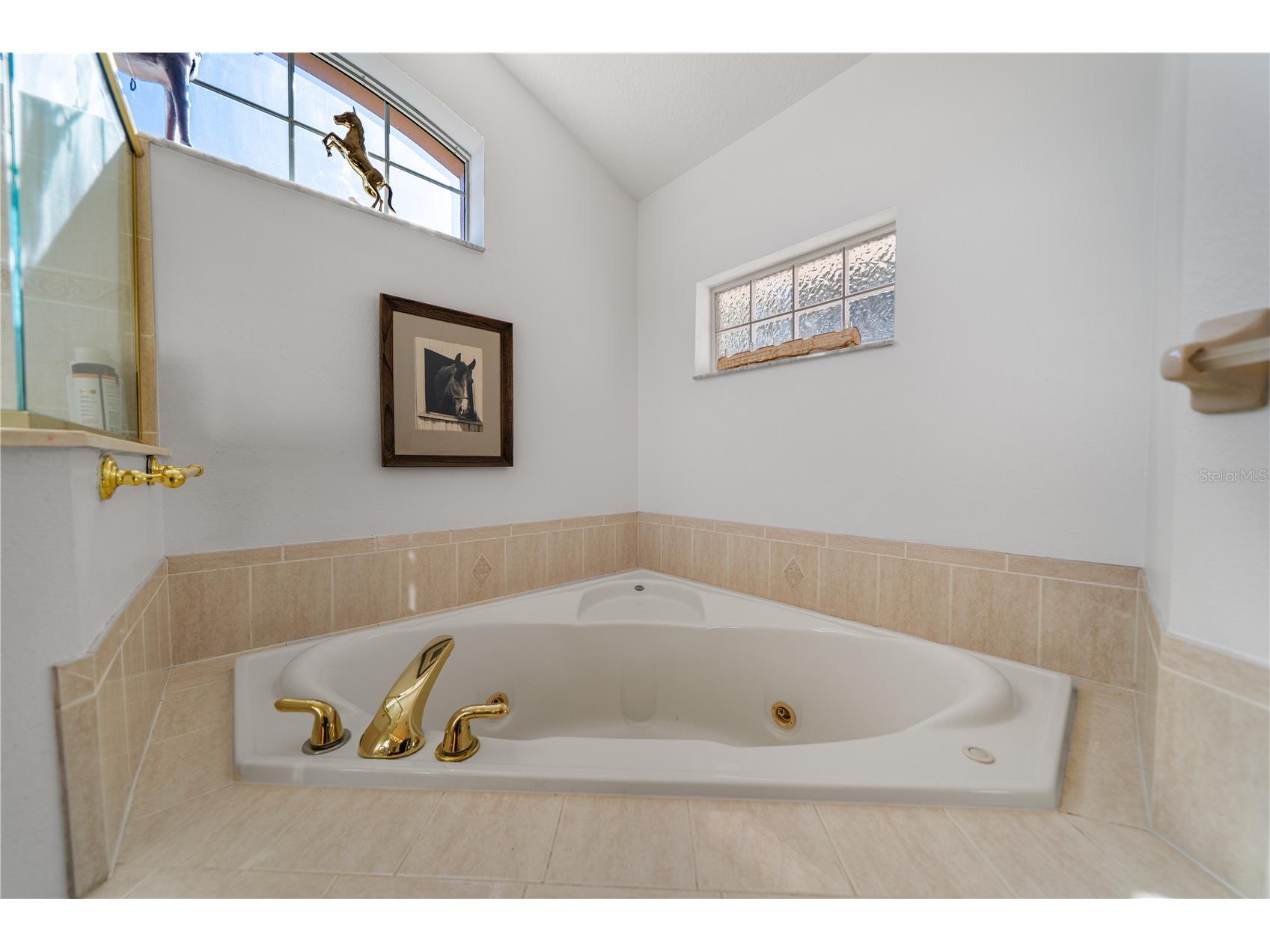 15995 NW 10th Circle Citra FL 32113 G5107400 image35