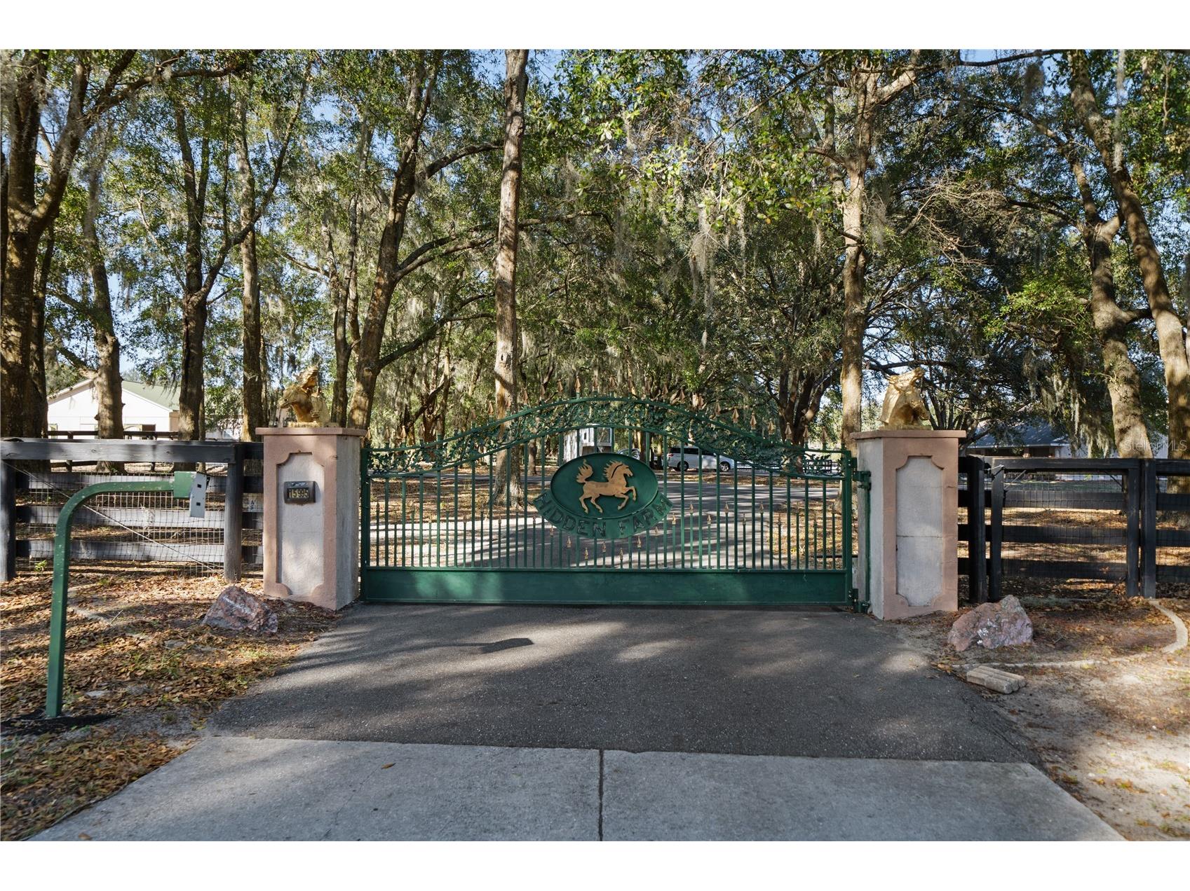 15995 NW 10th Circle Citra FL 32113 G5107400 image6