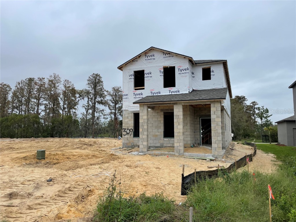 15999 Tollington Alley Winter Garden FL 34787 O6076388 image1