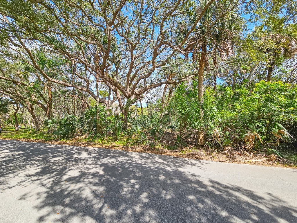 15XX S Flagler #LOT 16 Flagler Beach FL 32136 FC307618 image4