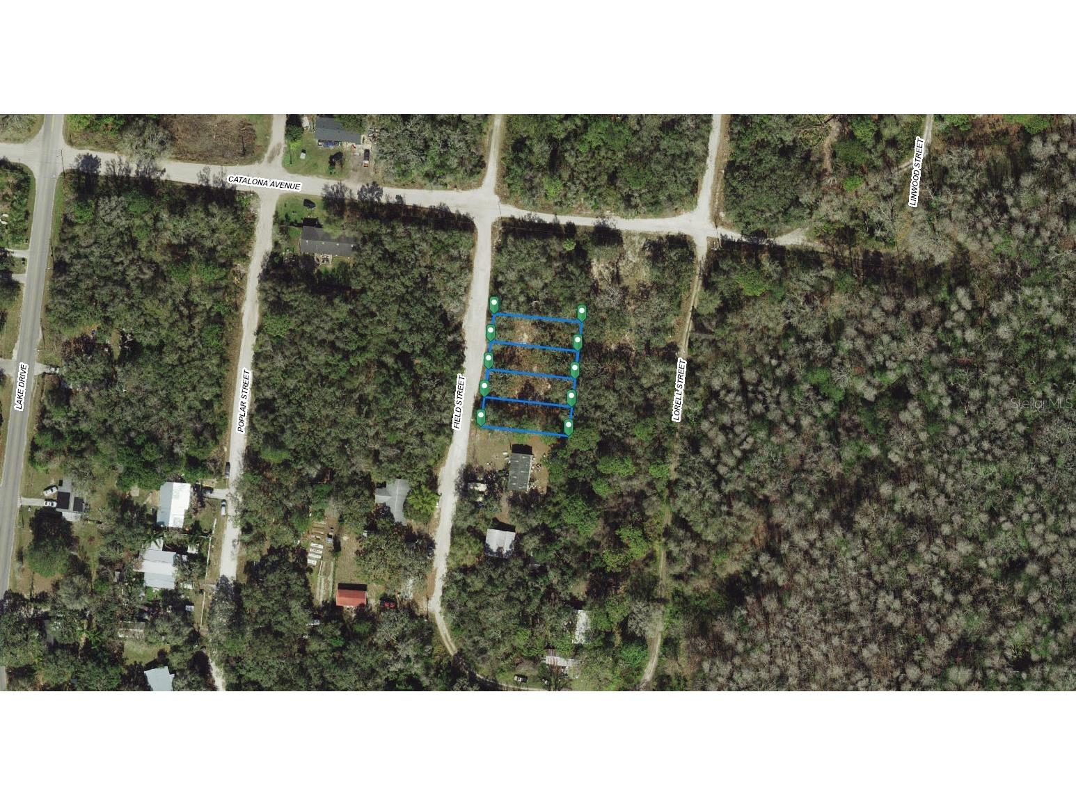 16-25-17-0100-15800-0040 Field Street New Port Richey FL 34654 A4684961 image2