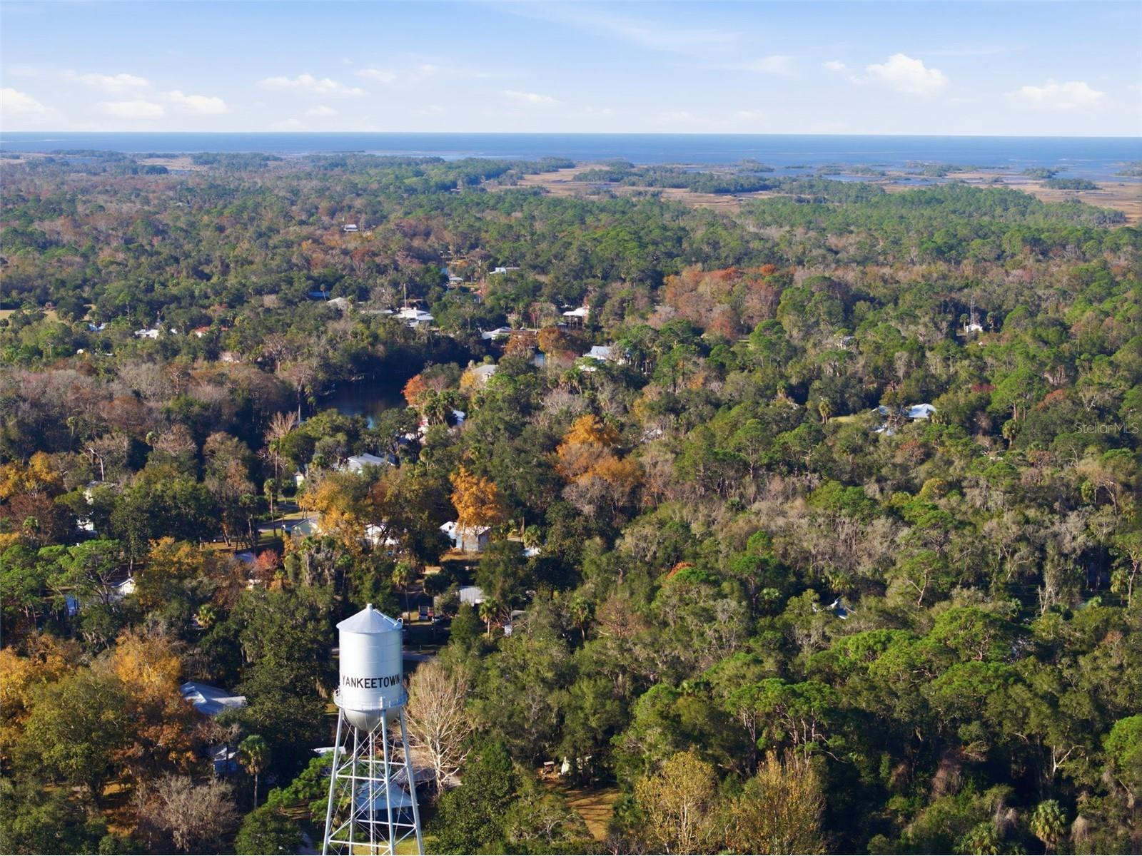 16 52nd Street Yankeetown FL 34498 TB8457375 image27