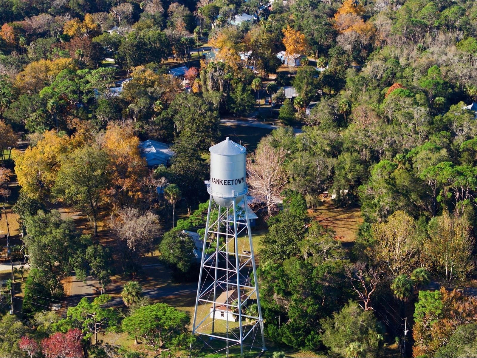 16 52nd Street Yankeetown FL 34498 TB8457375 image33