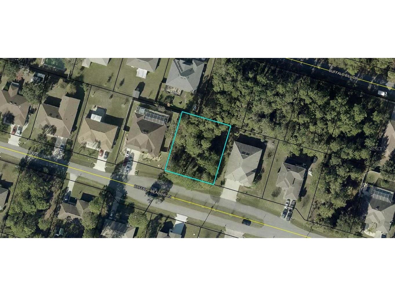 16 Buffalo Meadow Lane Palm Coast FL 32137 FC318821 image1