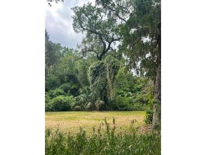 16 Carolina Highway Palm Coast FL 32137 FC318207 image3