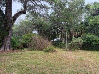 16 Carolina Highway Palm Coast FL 32137 FC318207 image4
