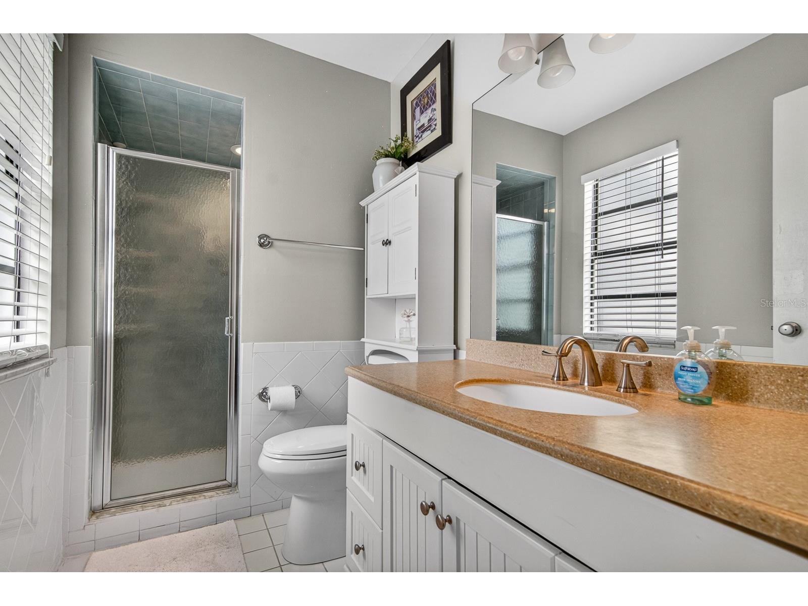 16 Citrus Drive Palm Harbor FL 34684 - LAKE TARPON TB8516471 image17
