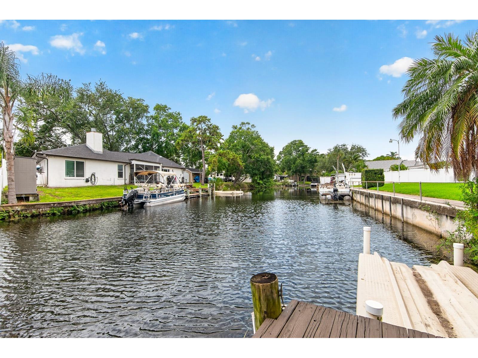 16 Citrus Drive Palm Harbor FL 34684 - LAKE TARPON TB8516471 image38