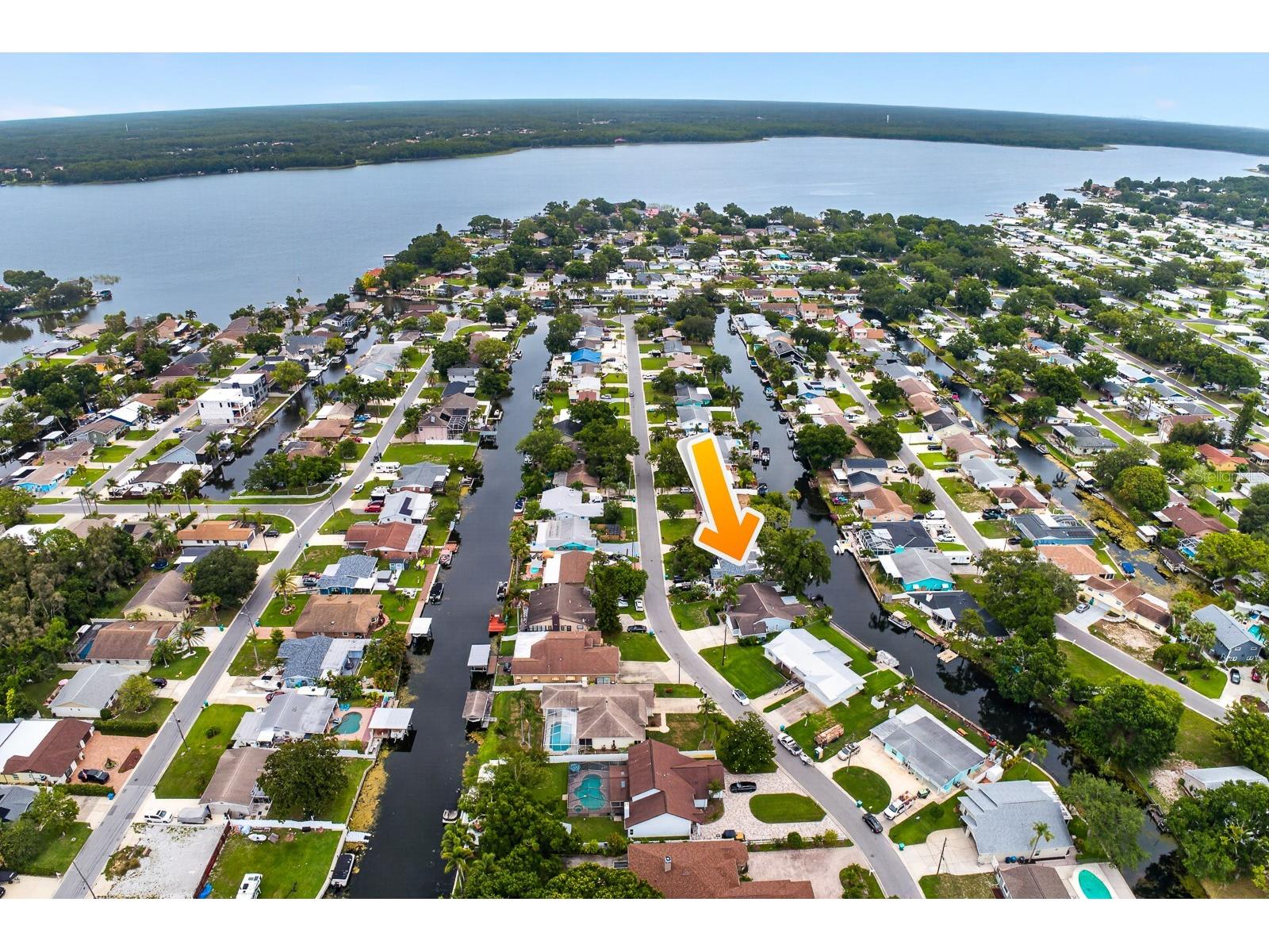 16 Citrus Drive Palm Harbor FL 34684 - LAKE TARPON TB8516471 image42