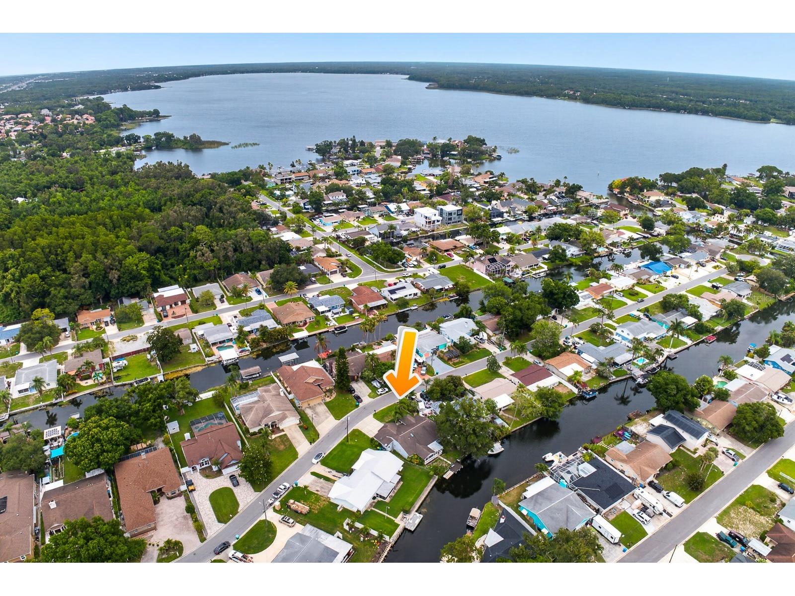 16 Citrus Drive Palm Harbor FL 34684 - LAKE TARPON TB8516471 image43