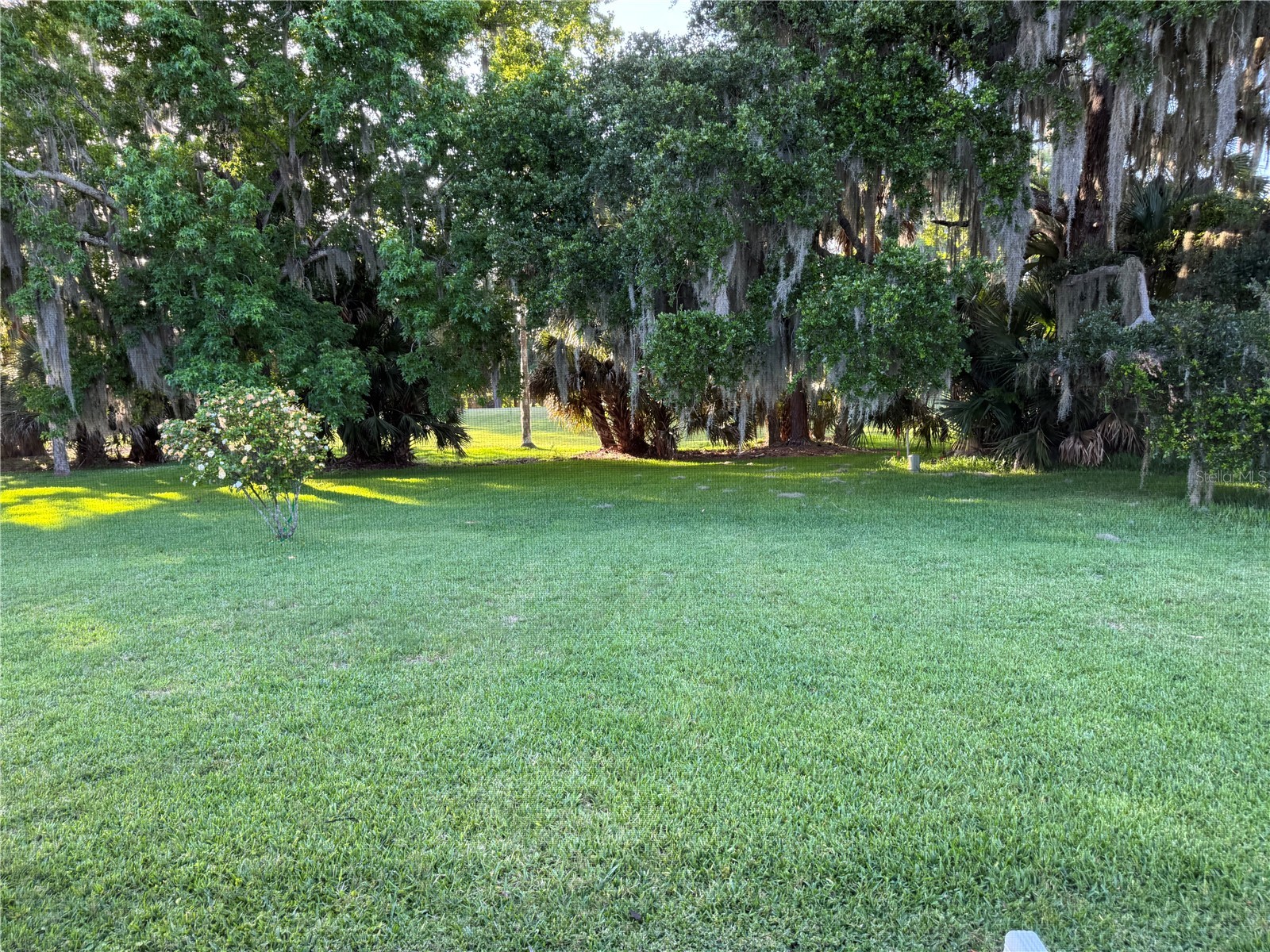 16 Courtney Place Palm Coast FL 32137 FC318787 image49