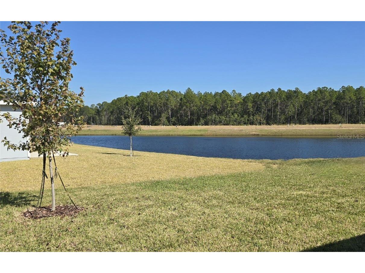 16 Dilly Court Palm Coast FL 32164 O6343732 image4