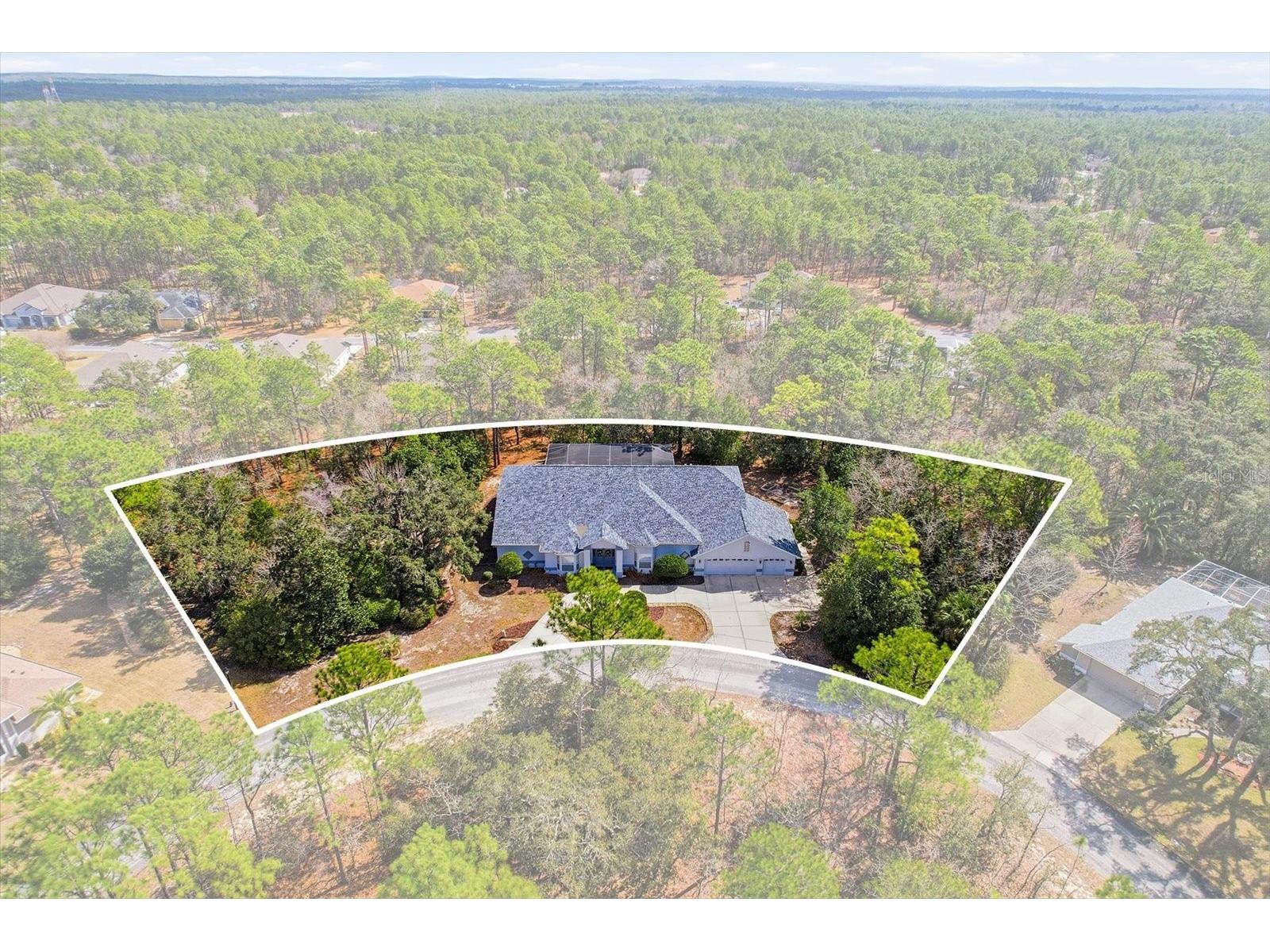 16 Drypetes Court E Homosassa FL 34446 OM719106 image1