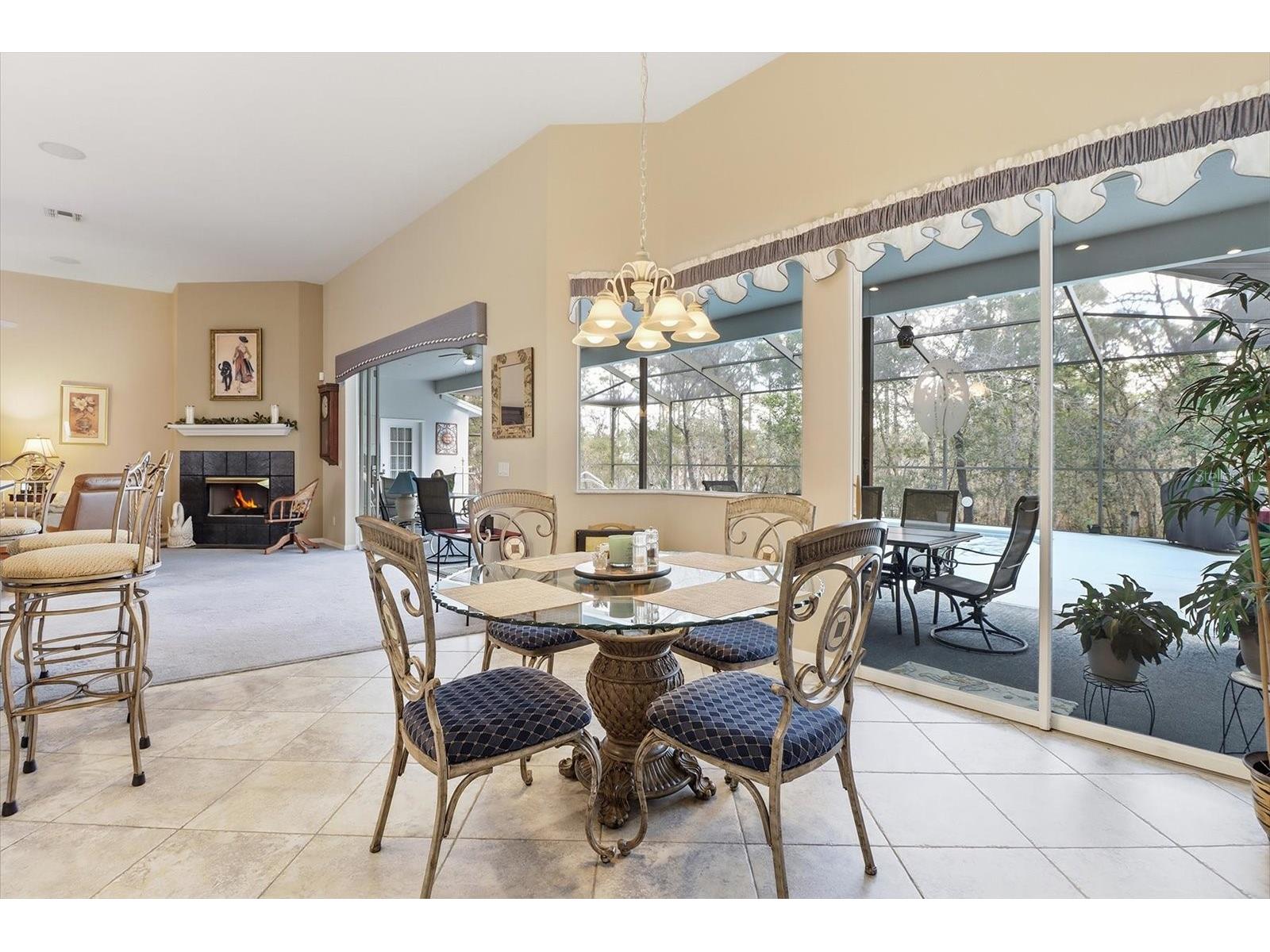 16 Drypetes Court E Homosassa FL 34446 OM719106 image15