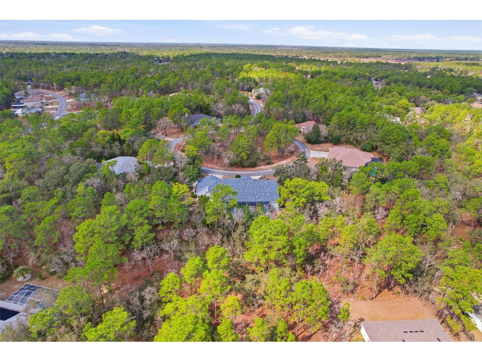 16 Drypetes Court E Homosassa FL 34446 OM719106 image44
