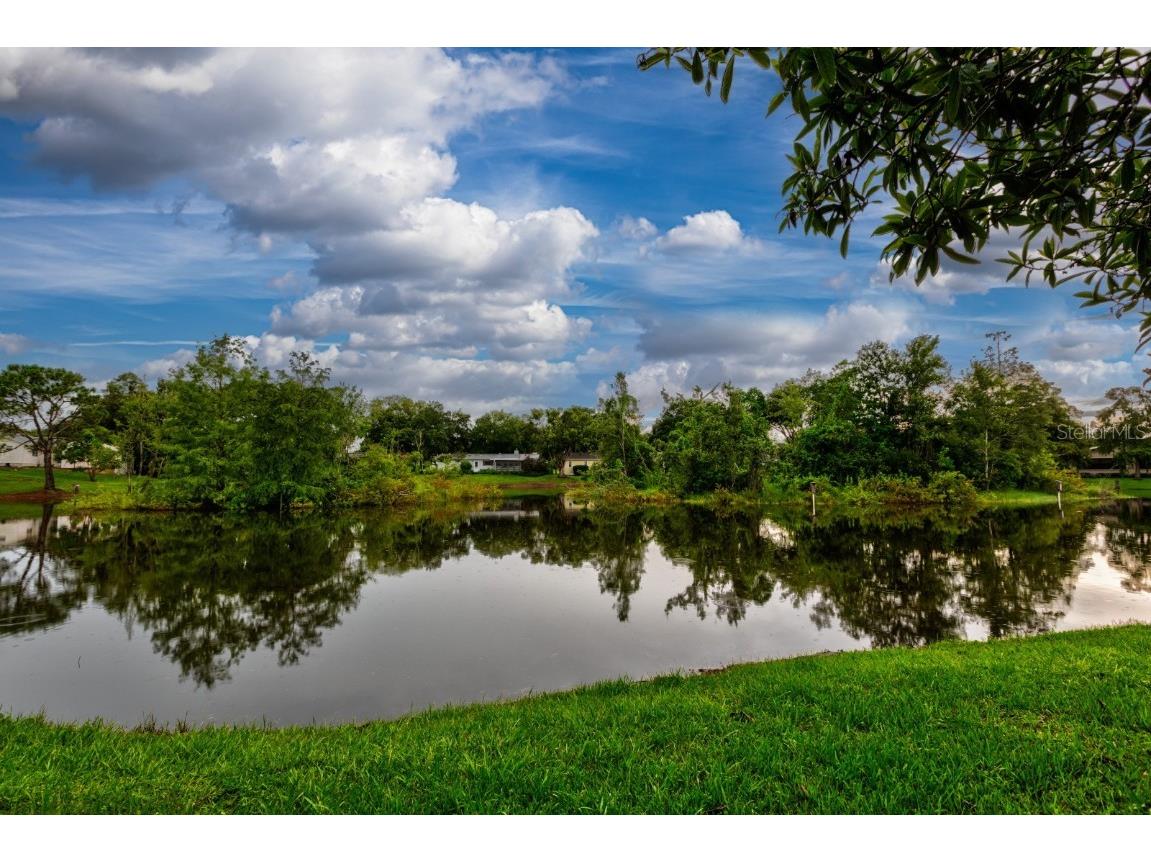 16 Easter Ross Court Leesburg FL 34788 OM714738 image1