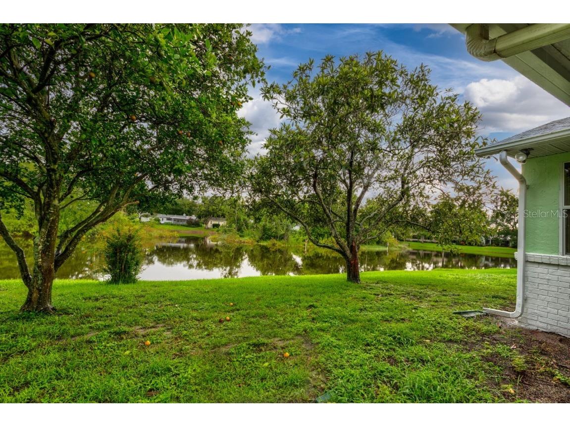 16 Easter Ross Court Leesburg FL 34788 OM714738 image28