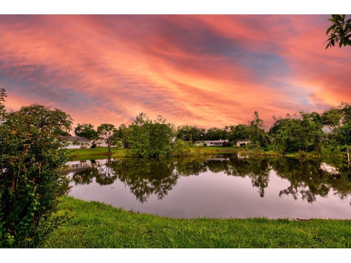 16 Easter Ross Court Leesburg FL 34788 OM714738 image3