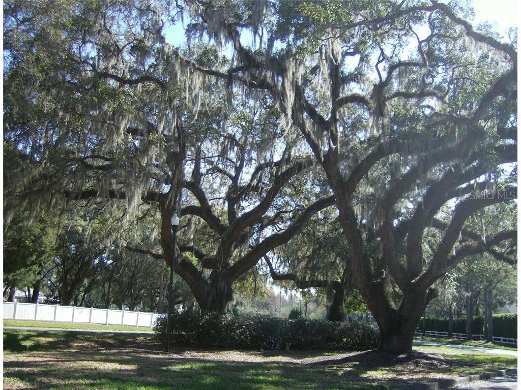 16 Easter Ross Court Leesburg FL 34788 OM714738 image33