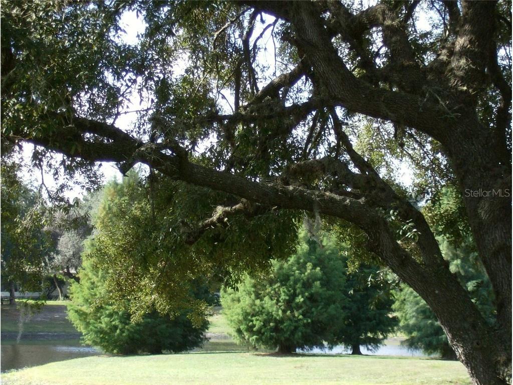 16 Easter Ross Court Leesburg FL 34788 OM714738 image39