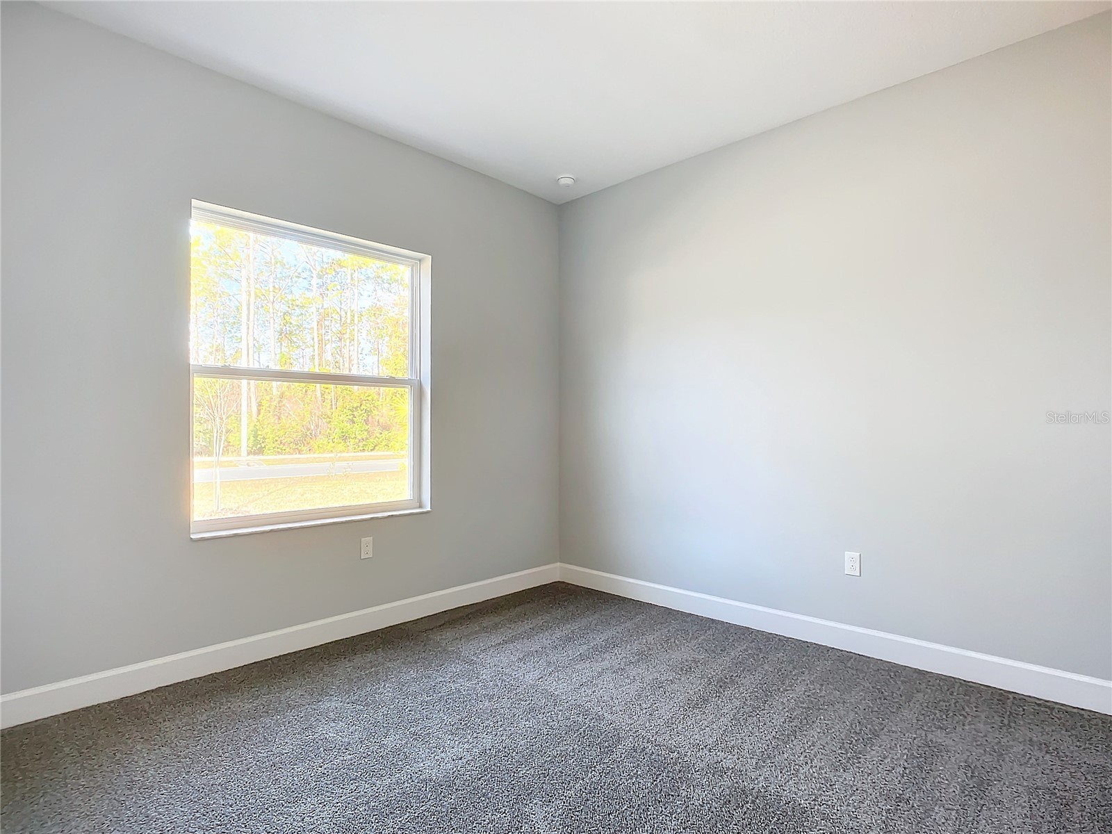 16 Egan Drive Palm Coast FL 32164 FC317904 image46