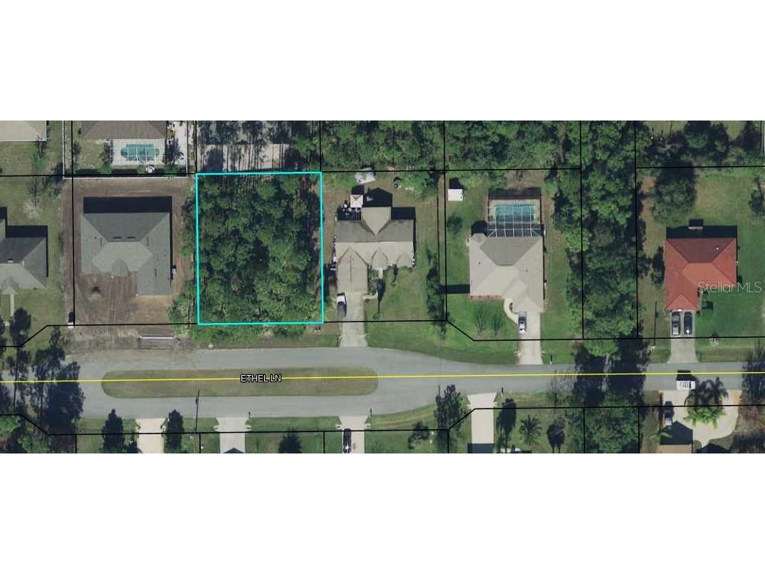 16 Ethel Lane Palm Coast FL 32164 FC288613 image1