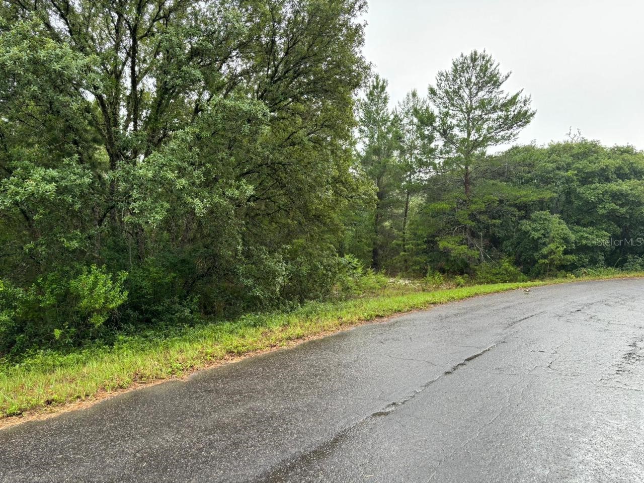 16 Fisher Court Way Ocklawaha FL 32179 O6397613 image1