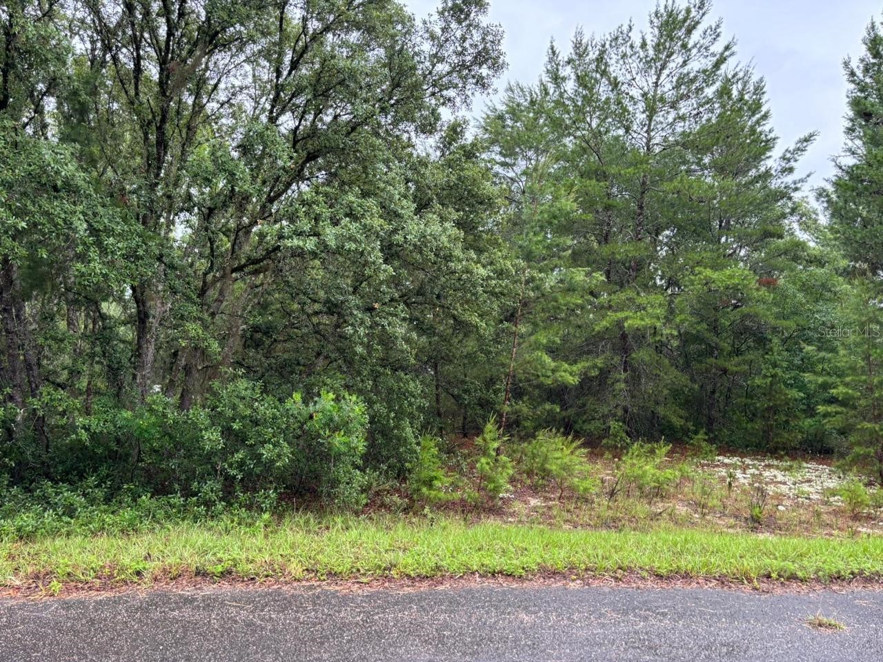 16 Fisher Court Way Ocklawaha FL 32179 O6397613 image2