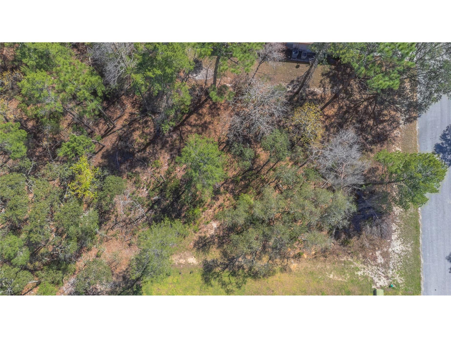 16 Iberis Court Homosassa FL 34446 TB8482538 image1
