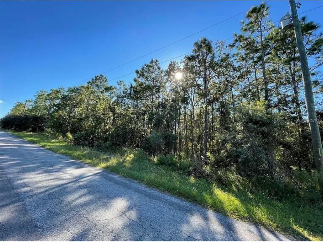 16 Mayten Court N Homosassa FL 34446 W7873270 image1