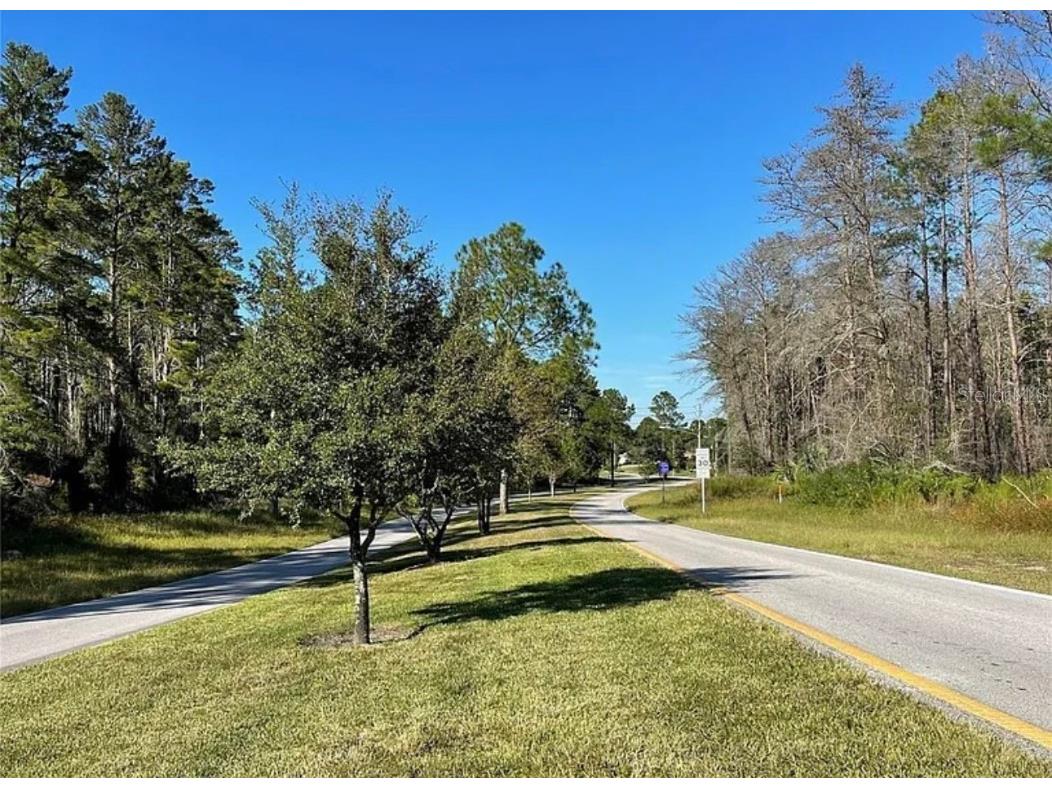 16 Mayten Court N Homosassa FL 34446 W7873270 image12
