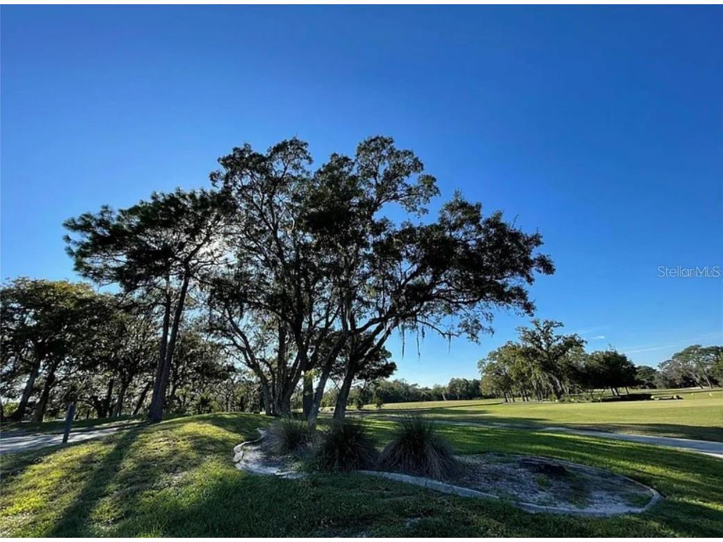 16 Mayten Court N Homosassa FL 34446 W7873270 image14
