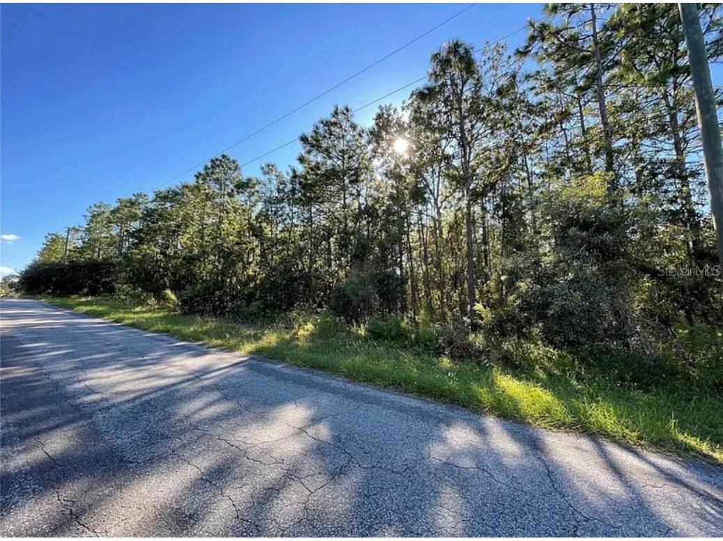 16 Mayten Court N Homosassa FL 34446 W7873270 image15