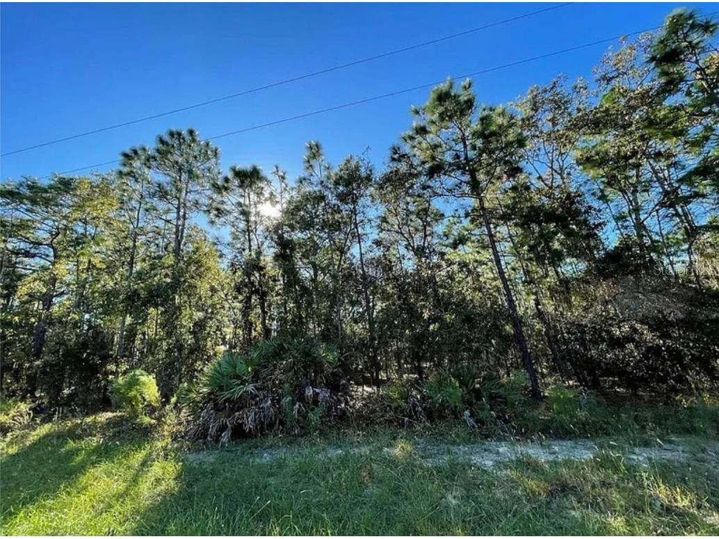 16 Mayten Court N Homosassa FL 34446 W7873270 image2