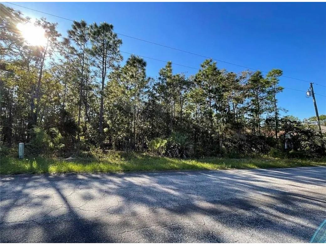 16 Mayten Court N Homosassa FL 34446 W7873270 image3