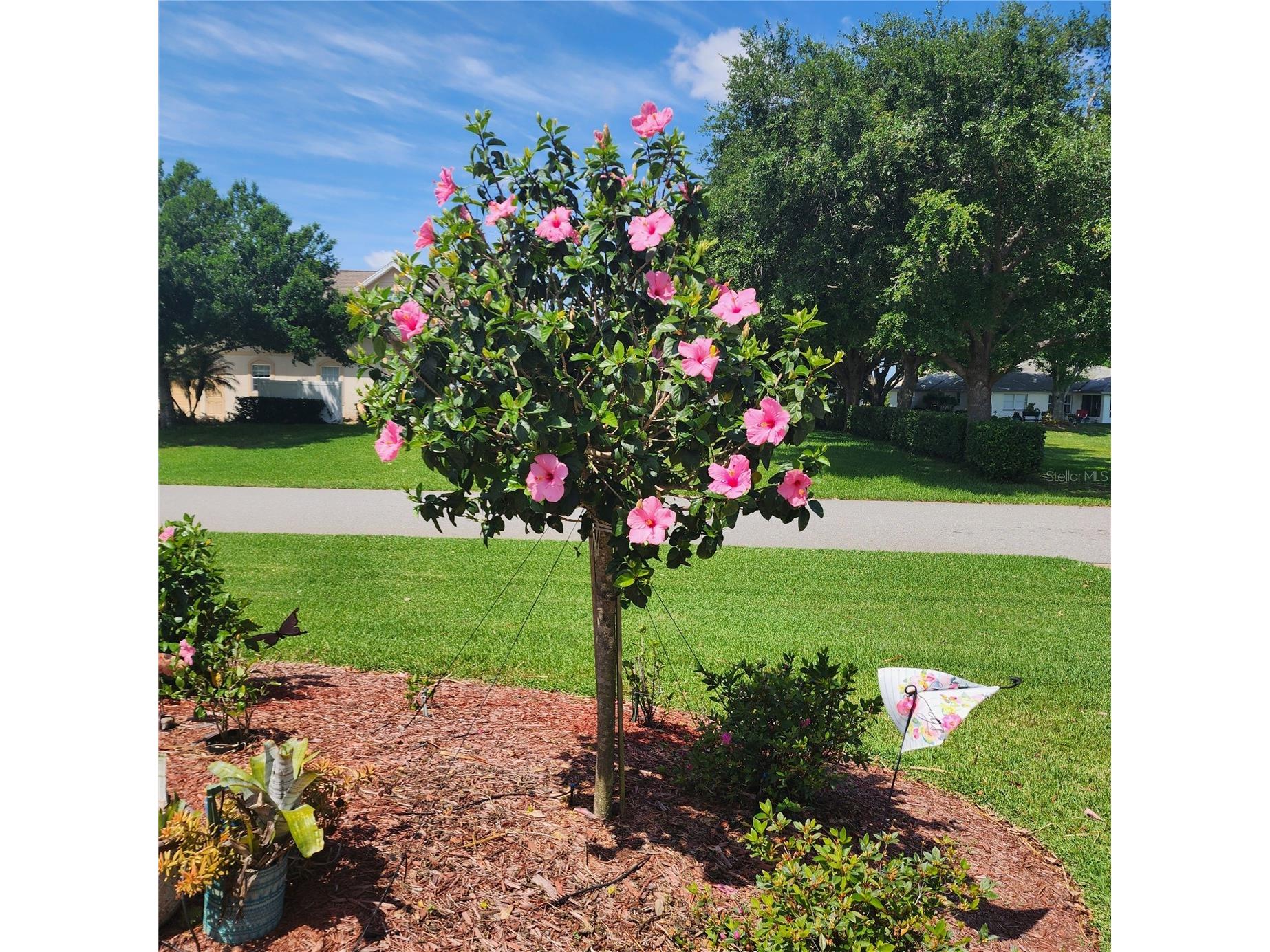 16 Meadowlake Circle S Lake Placid FL 33852 W7881996 image36