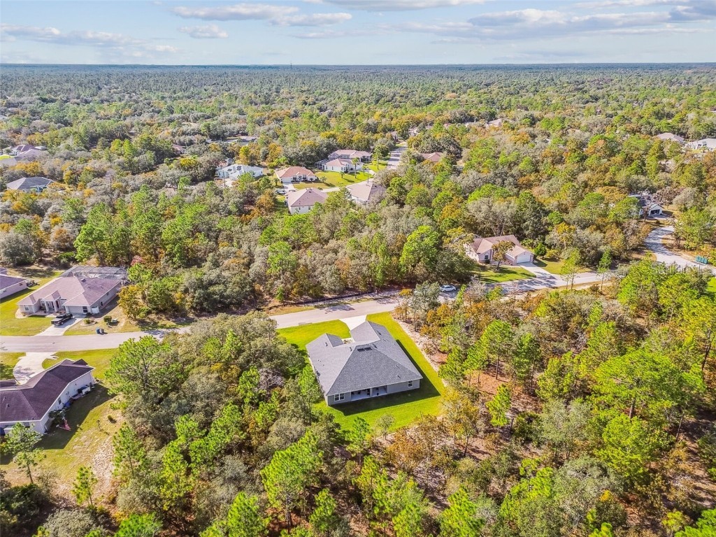 16 Nemesia Court E Homosassa FL 34446 TB8447246 image63