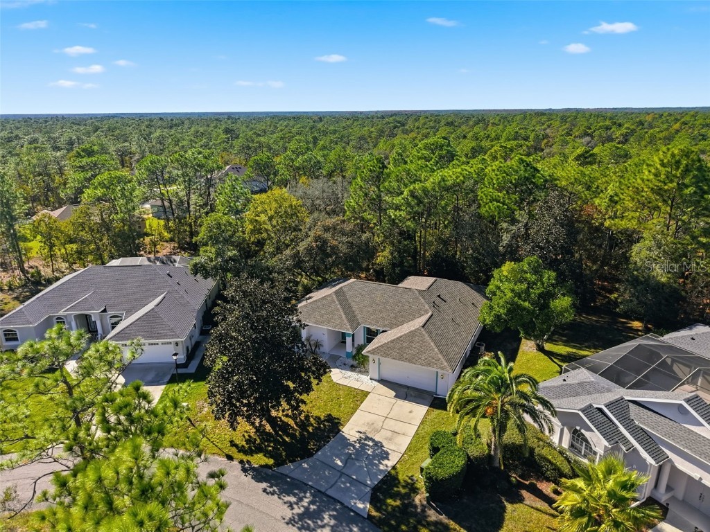 16 Nephthytis Court Homosassa FL 34446 W7880761 image38