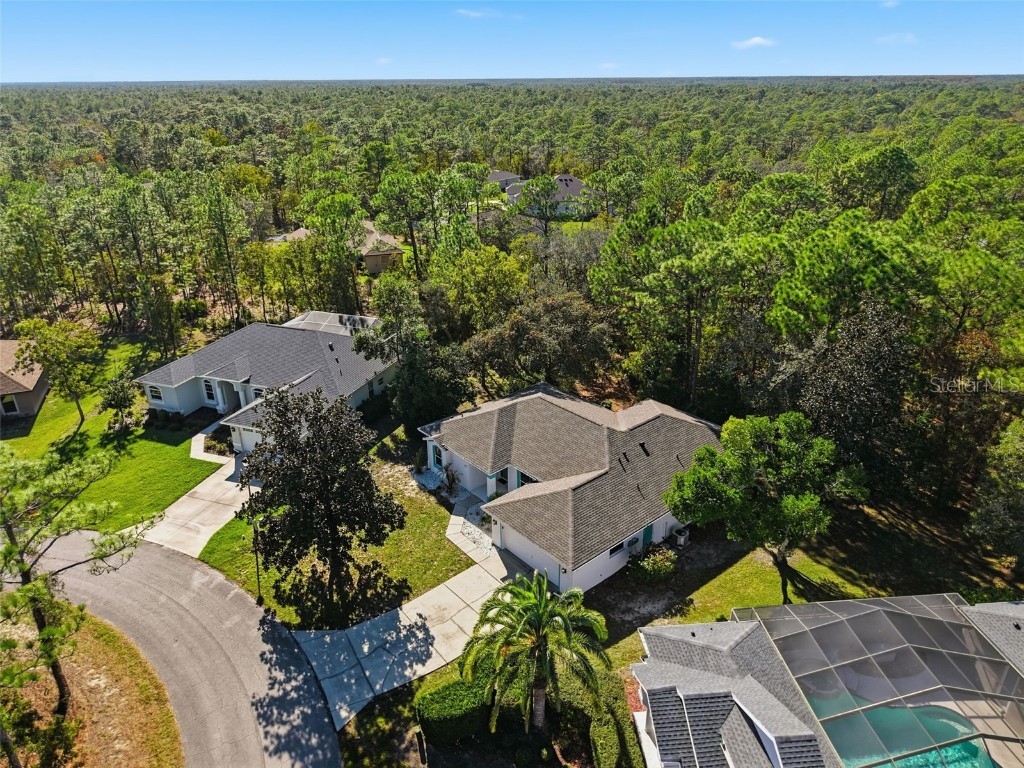 16 Nephthytis Court Homosassa FL 34446 W7880761 image39