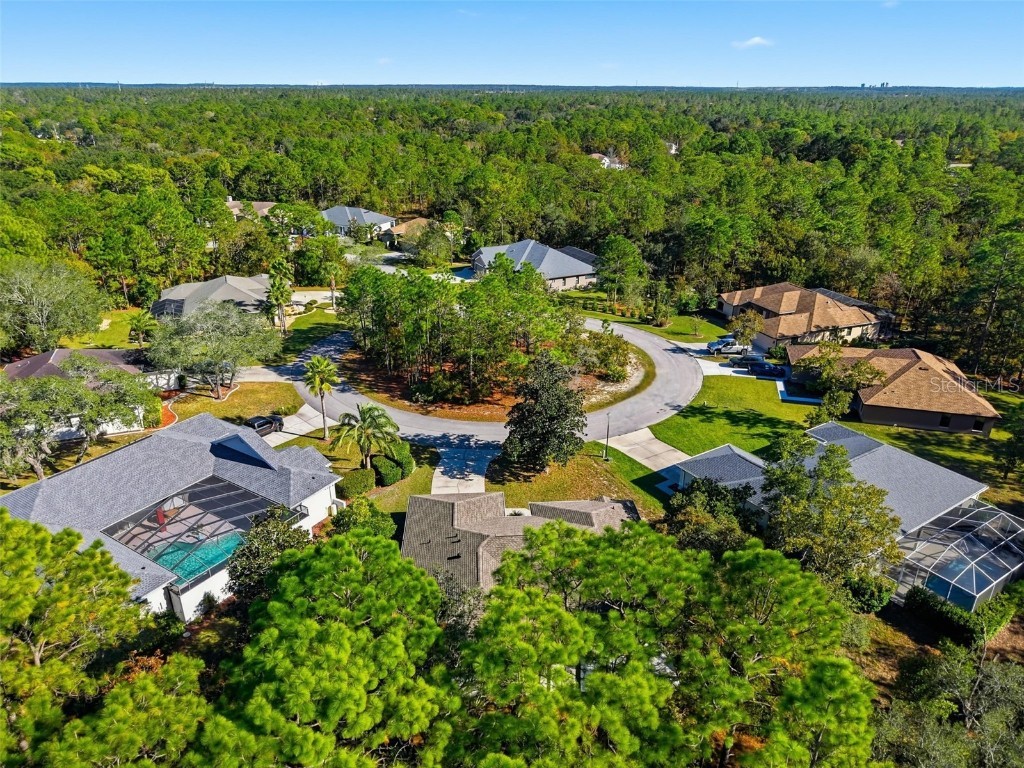 16 Nephthytis Court Homosassa FL 34446 W7880761 image41