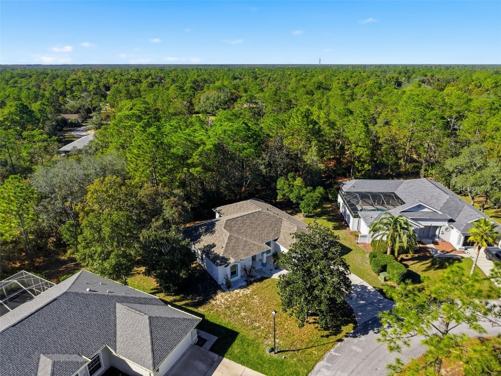 16 Nephthytis Court Homosassa FL 34446 W7880761 image45