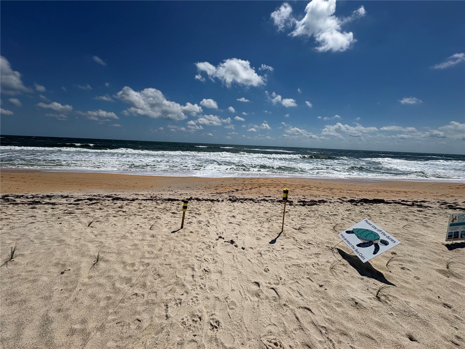 16 Oceanside Drive Palm Coast FL 32137 TB8505410 image2