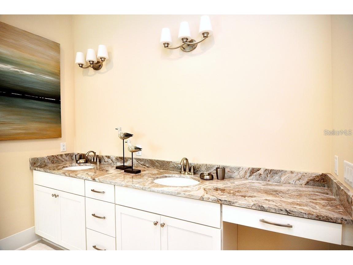 16 Outlook Way #9 Dunedin FL 34698 TB8408730 image59