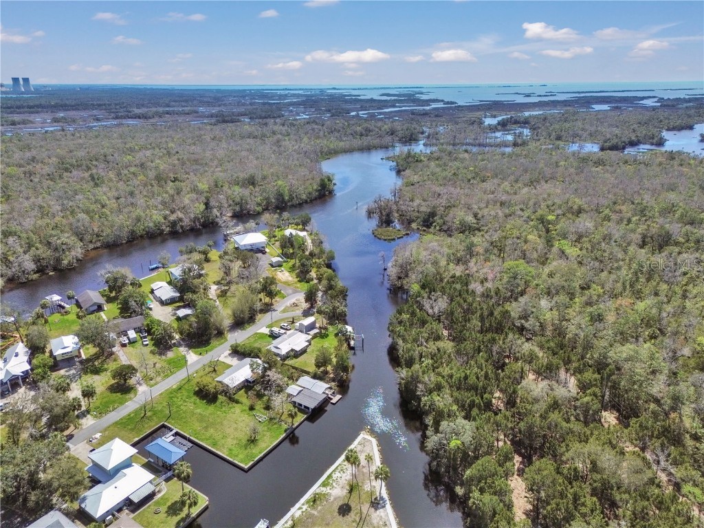 16 Palm Drive Yankeetown FL 34498 - WITHLACOOCHEE RIVER OM696533 image3