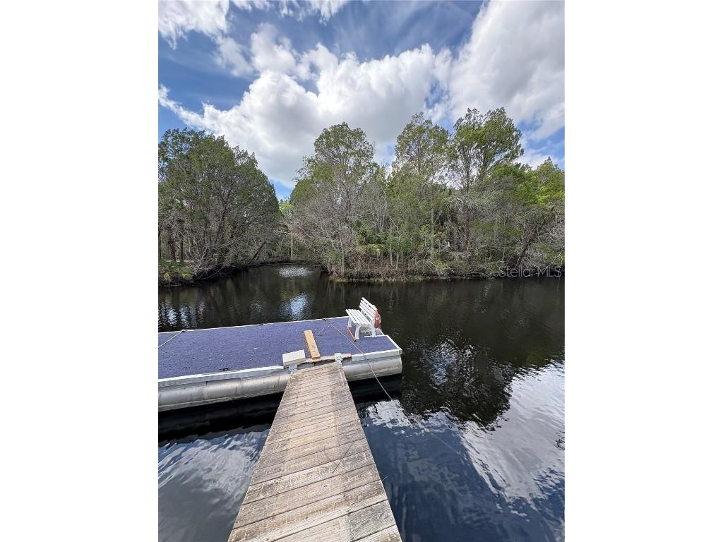 16 Palm Drive Yankeetown FL 34498 - WITHLACOOCHEE RIVER OM696533 image6