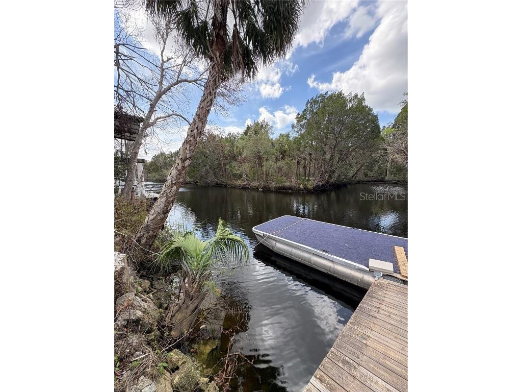 16 Palm Drive Yankeetown FL 34498 - WITHLACOOCHEE RIVER OM696533 image7