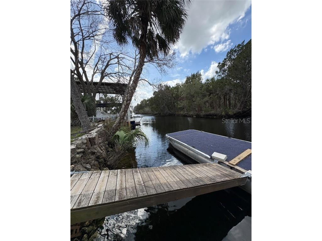 16 Palm Drive Yankeetown FL 34498 - WITHLACOOCHEE RIVER OM696533 image8