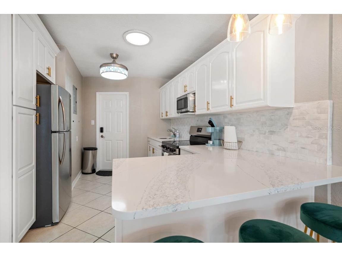 16 Paradise Lane #101 Saint Petersburg FL 33706 - INTRACOASTAL WATERWAY TB8452848 image10